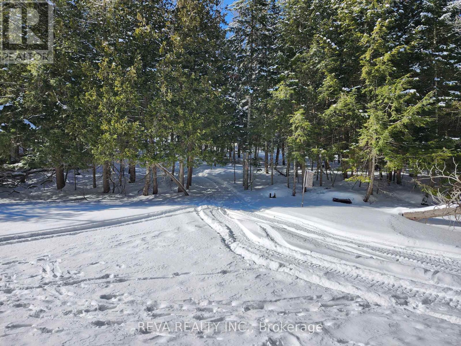 0 Road Allowance Property Photo 4