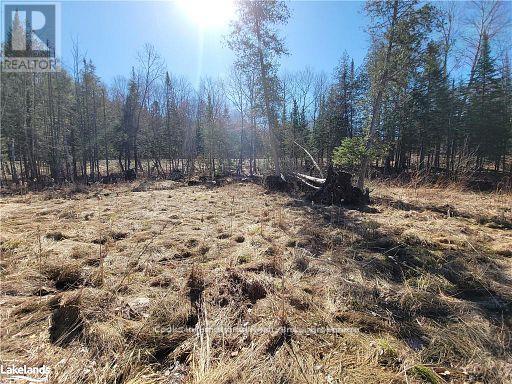 0 Highway 35 Highway Property Photo 15