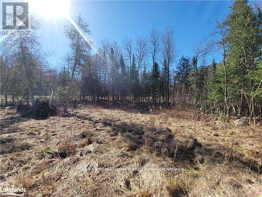 0 Highway 35 Highway Property Photo 17