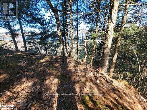 0 Highway 35 Highway Property Photo 25