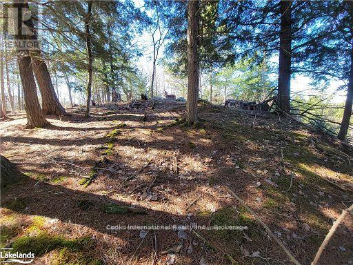 0 Highway 35 Highway Property Photo 26