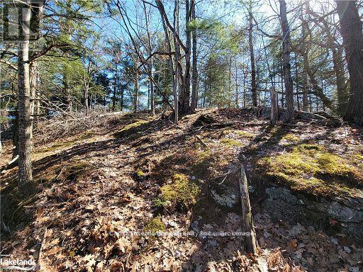 0 Highway 35 Highway Property Photo 27