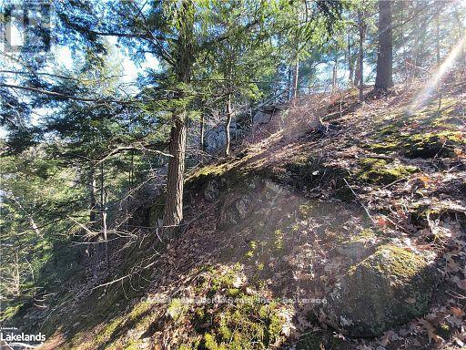 0 Highway 35 Highway Property Photo 29