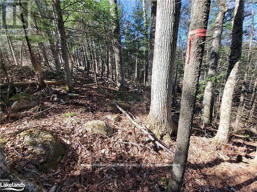 0 Highway 35 Highway Property Photo 30