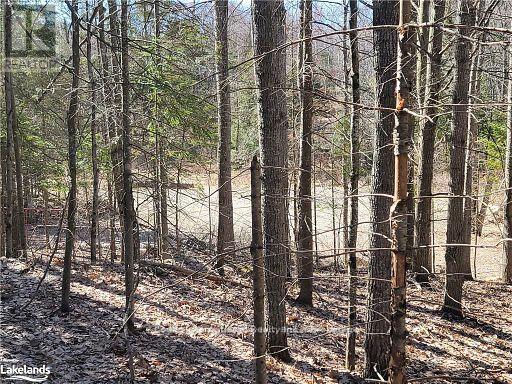 0 Highway 35 Highway Property Photo 32