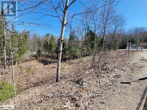 0 Highway 35 Highway Property Photo 36