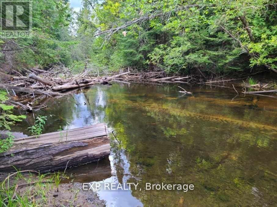 Pt Lt 8 Old Barrys Bay Road Property Photo 4