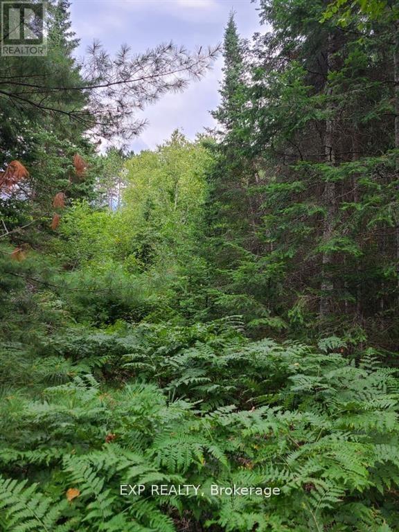 Pt Lt 8 Old Barrys Bay Road Property Photo 10