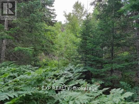 Pt Lt 8 Old Barrys Bay Road Property Photo 14