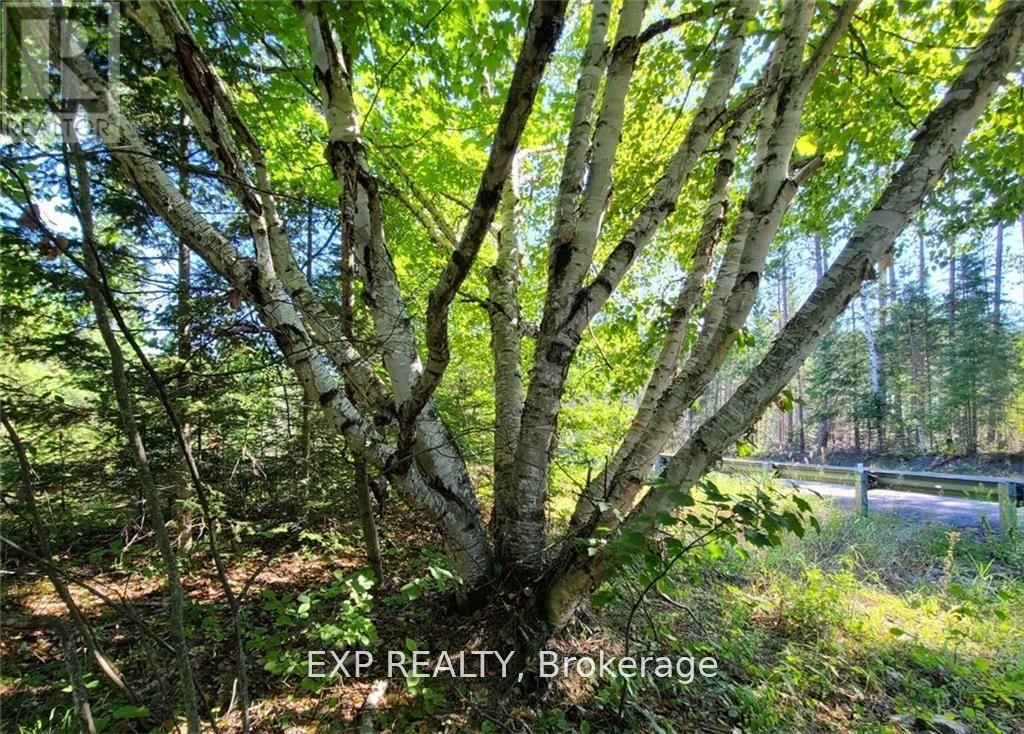 Pt Lt 8 Old Barrys Bay Road Property Photo 16