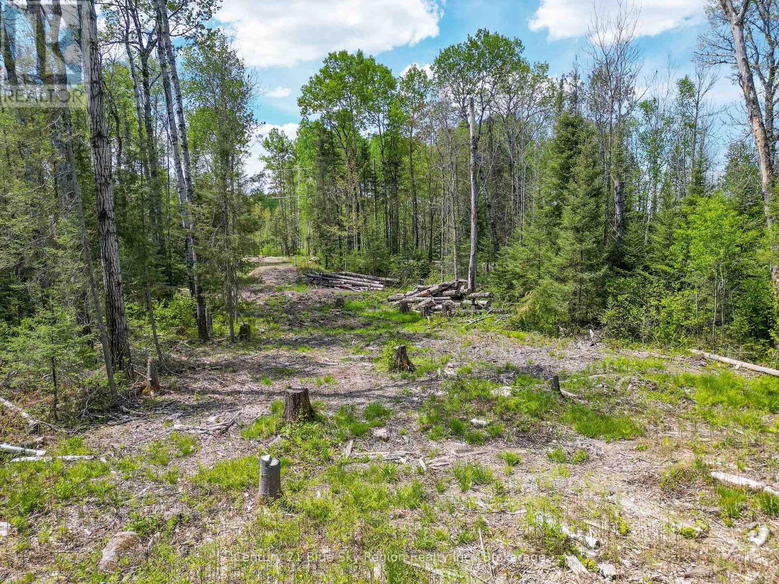 13 One Mile Road Property Photo 2