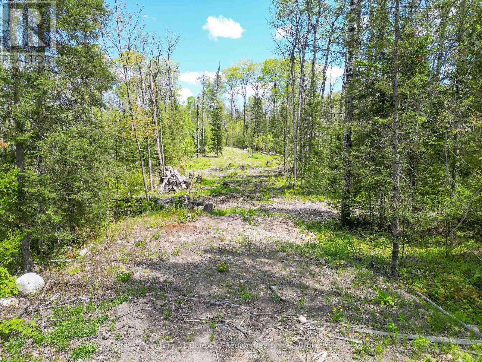 13 One Mile Road Property Photo 4