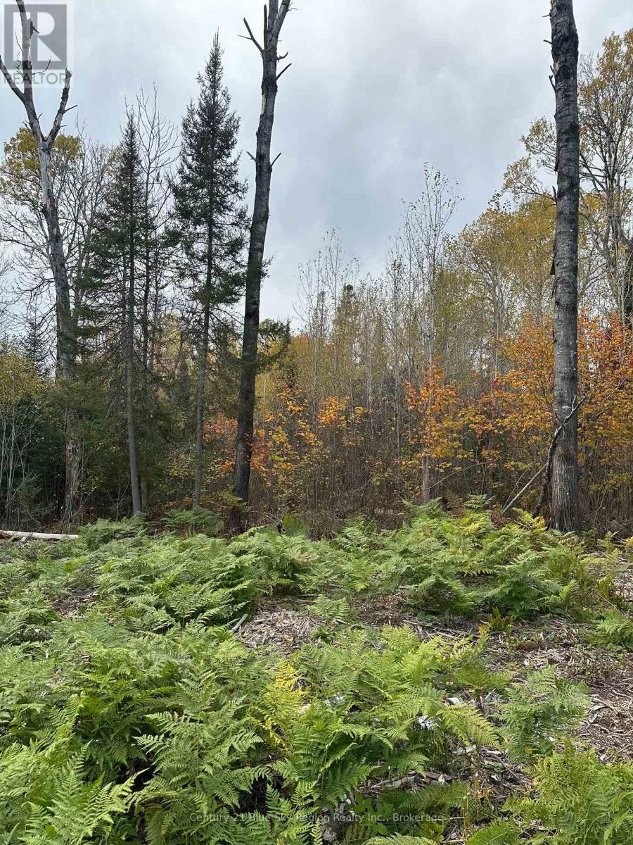 13 One Mile Road Property Photo 17