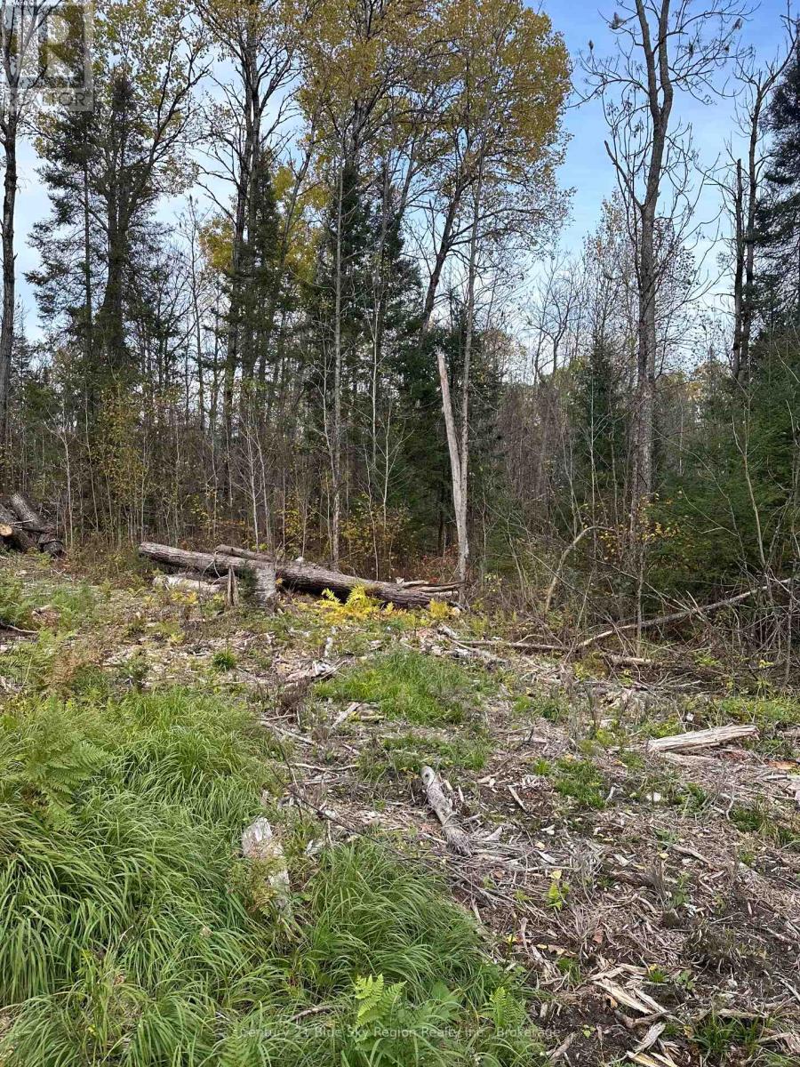 13 One Mile Road Property Photo 18