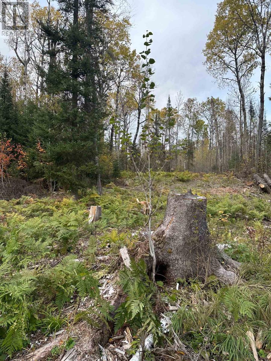 13 One Mile Road Property Photo 19