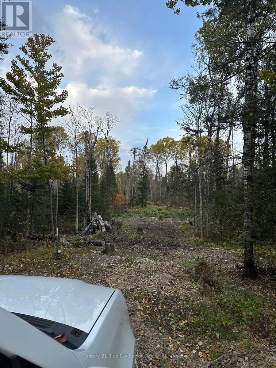 13 One Mile Road Property Photo 22