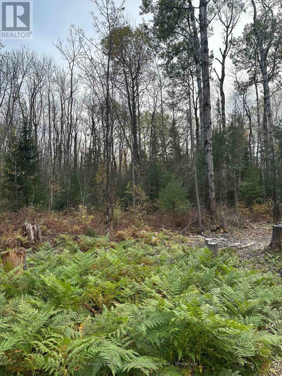 13 One Mile Road Property Photo 24