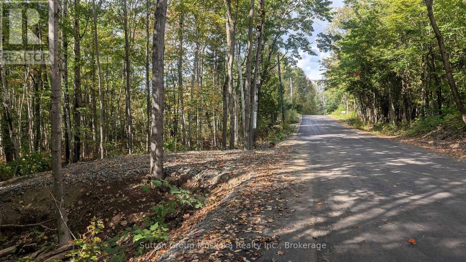 Lot 1 Tally-ho Winter Park Road Property Photo 3