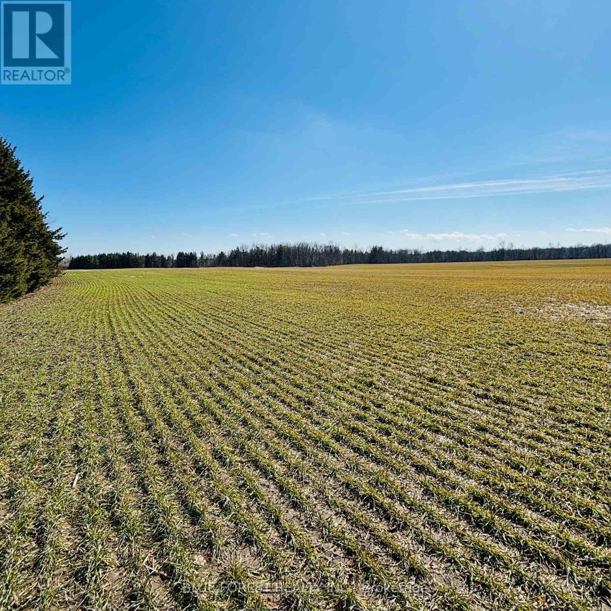 21111 Dundonald Road Property Photo 18