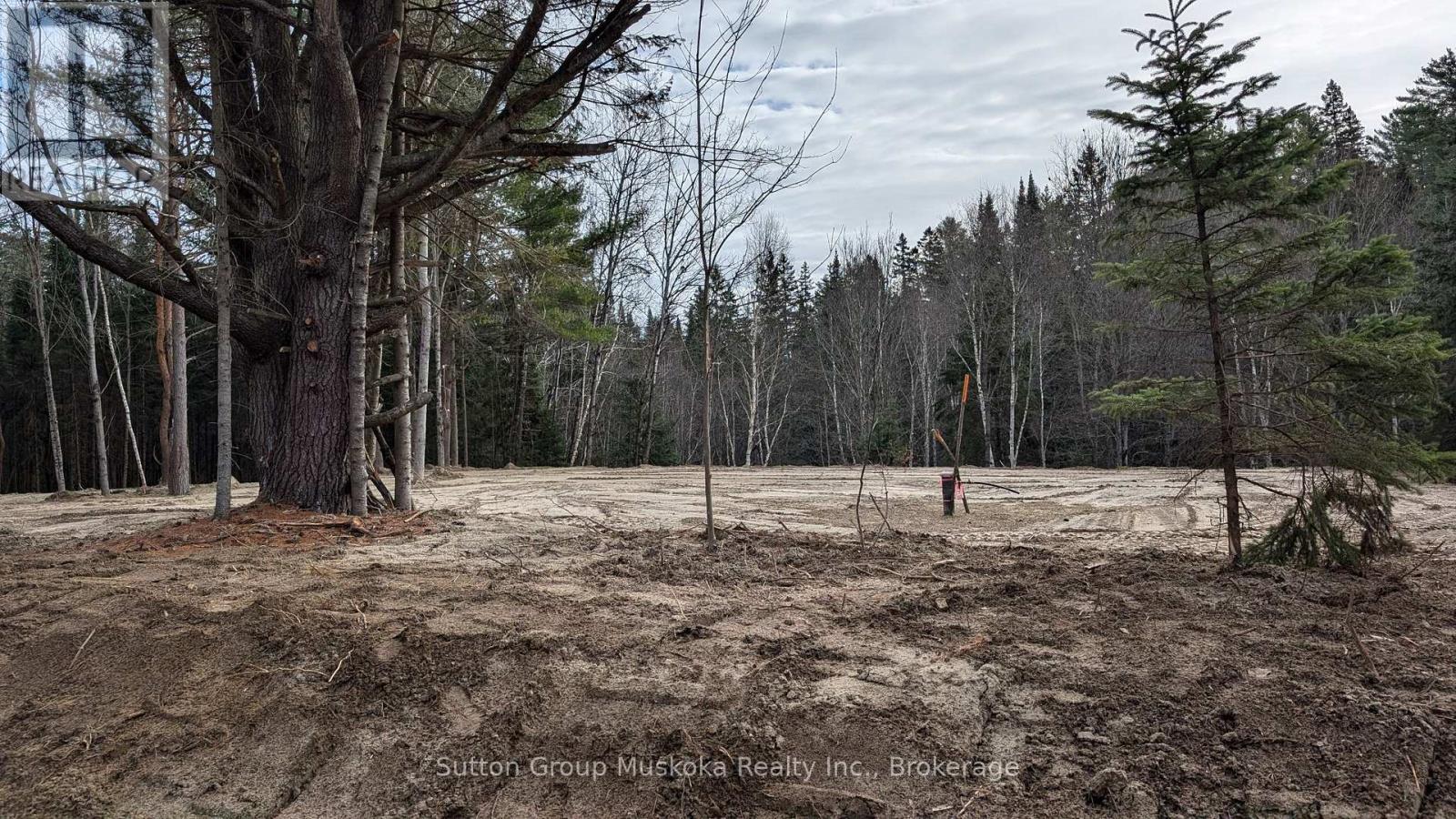 Lot 3 Red Pine Trail Property Photo 2
