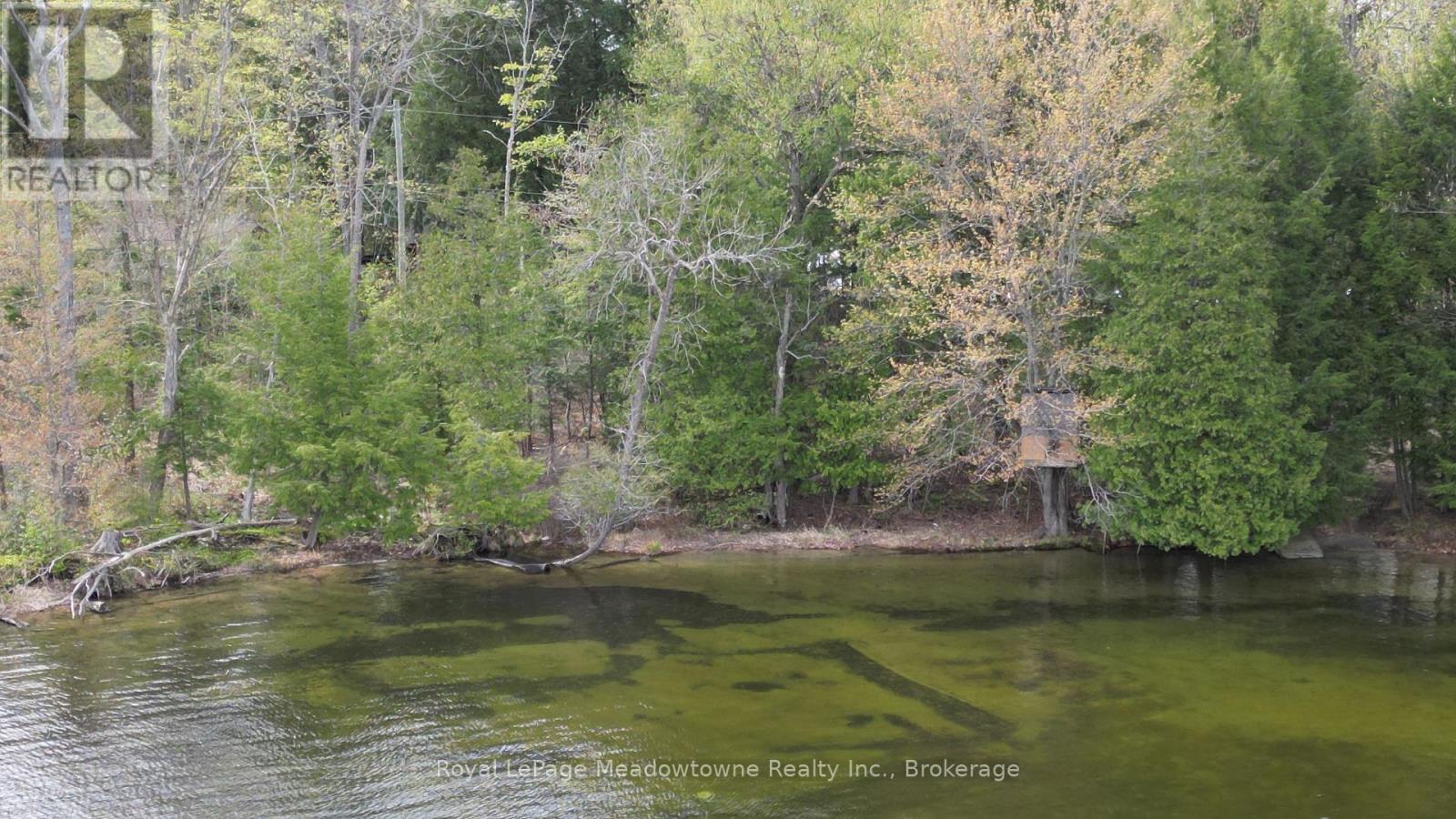 0 Twelve Mile Lake Road Property Photo 8