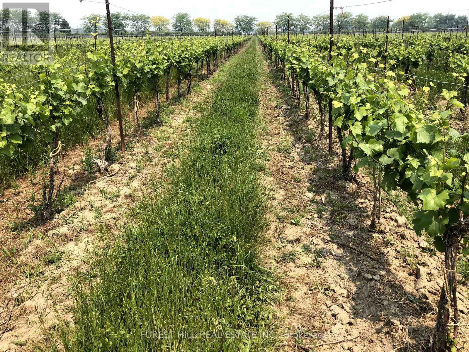 3756 Ninth Street Property Photo 23