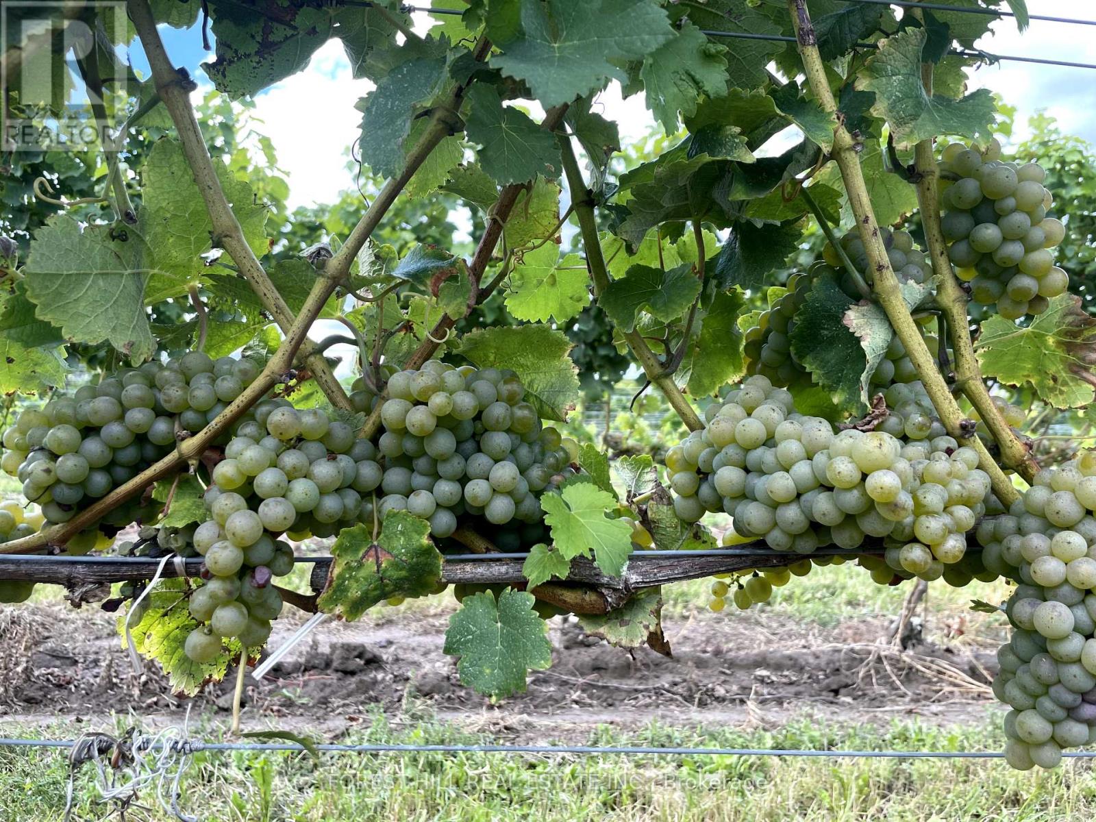 3756 Ninth Street Property Photo 24