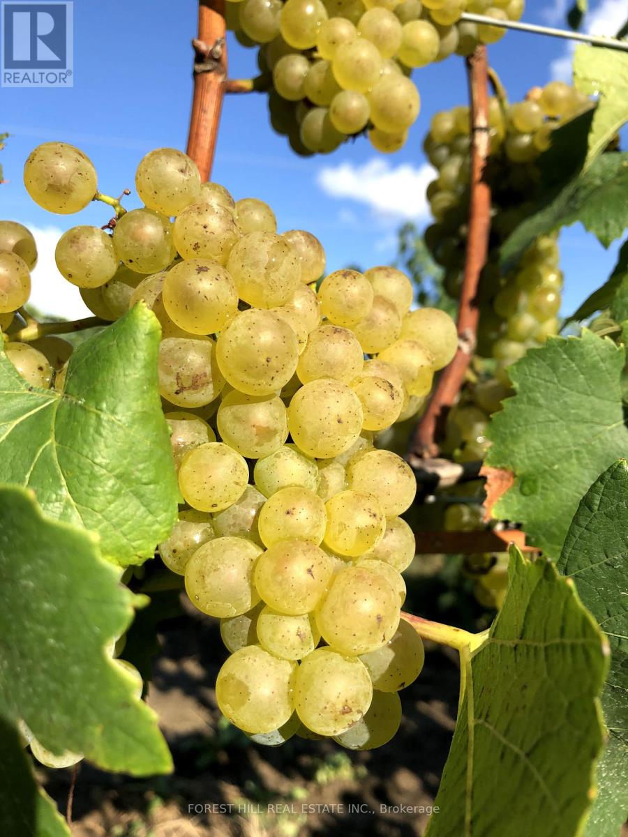 3756 Ninth Street Property Photo 25