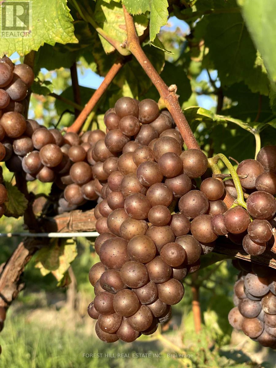 3756 Ninth Street Property Photo 26