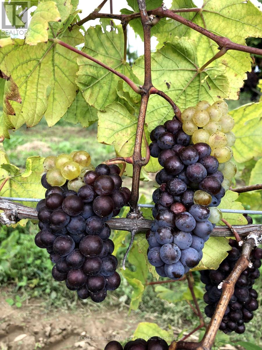 3756 Ninth Street Property Photo 27