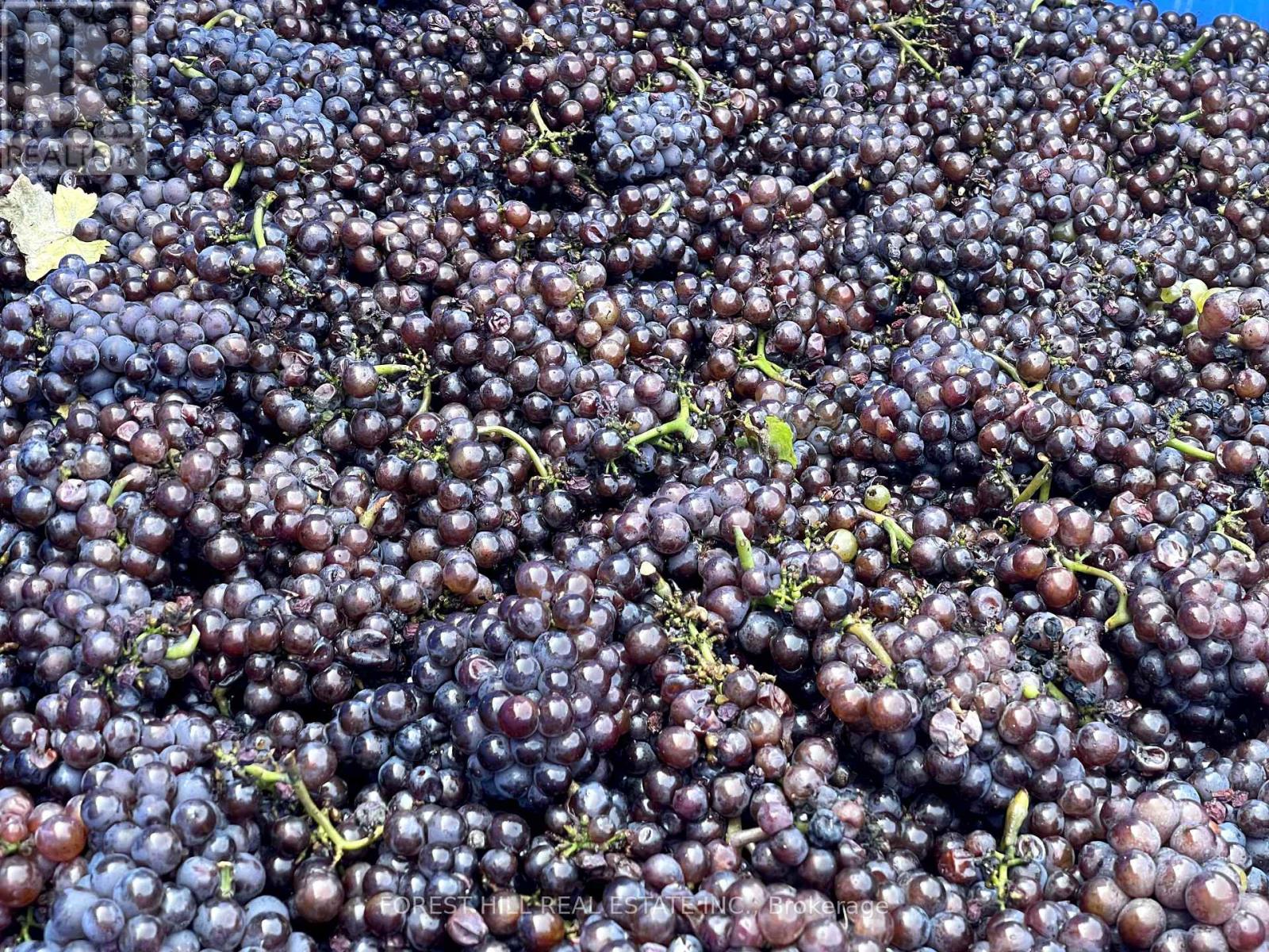 3756 Ninth Street Property Photo 28