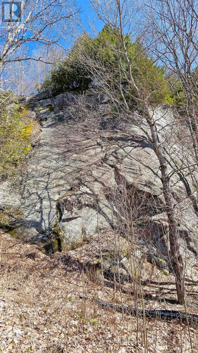 115 Longs Lake Road Property Photo 2