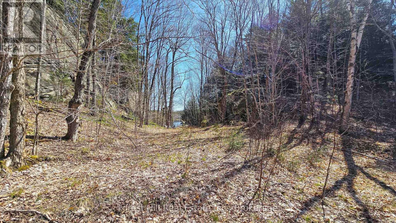 115 Longs Lake Road Property Photo 3
