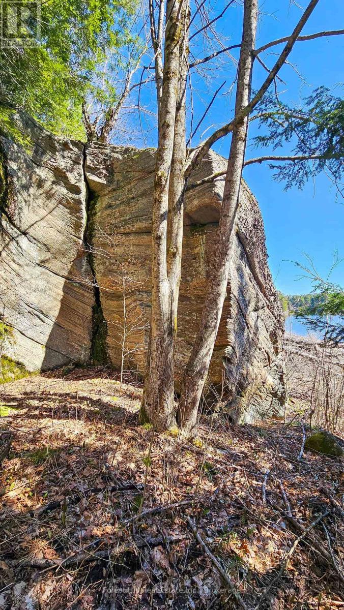 115 Longs Lake Road Property Photo 4