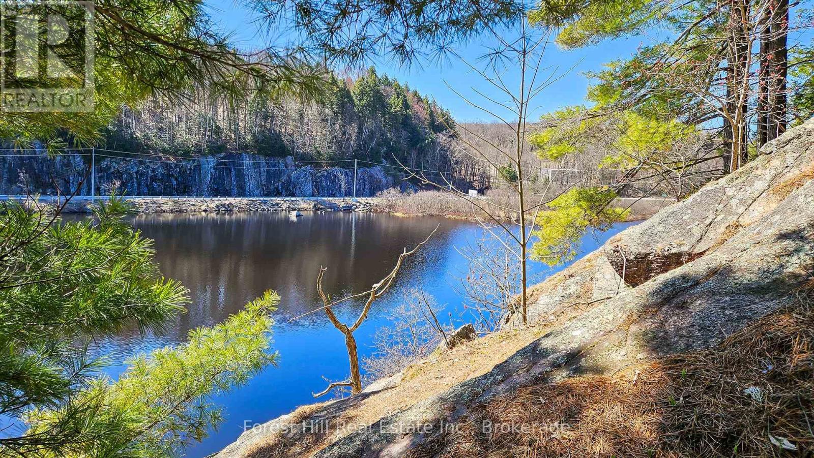 115 Longs Lake Road Property Photo 7