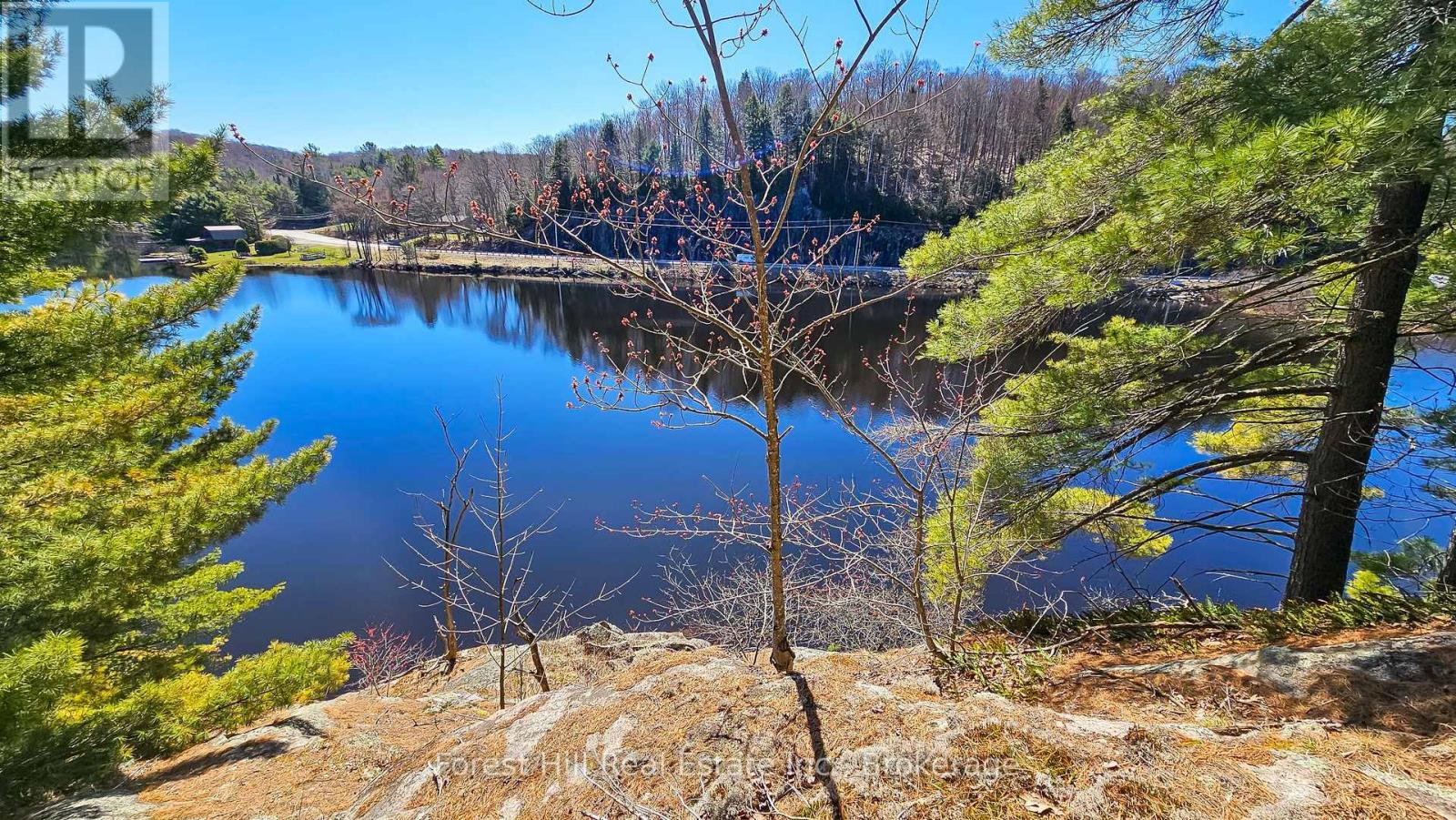 115 Longs Lake Road Property Photo 8