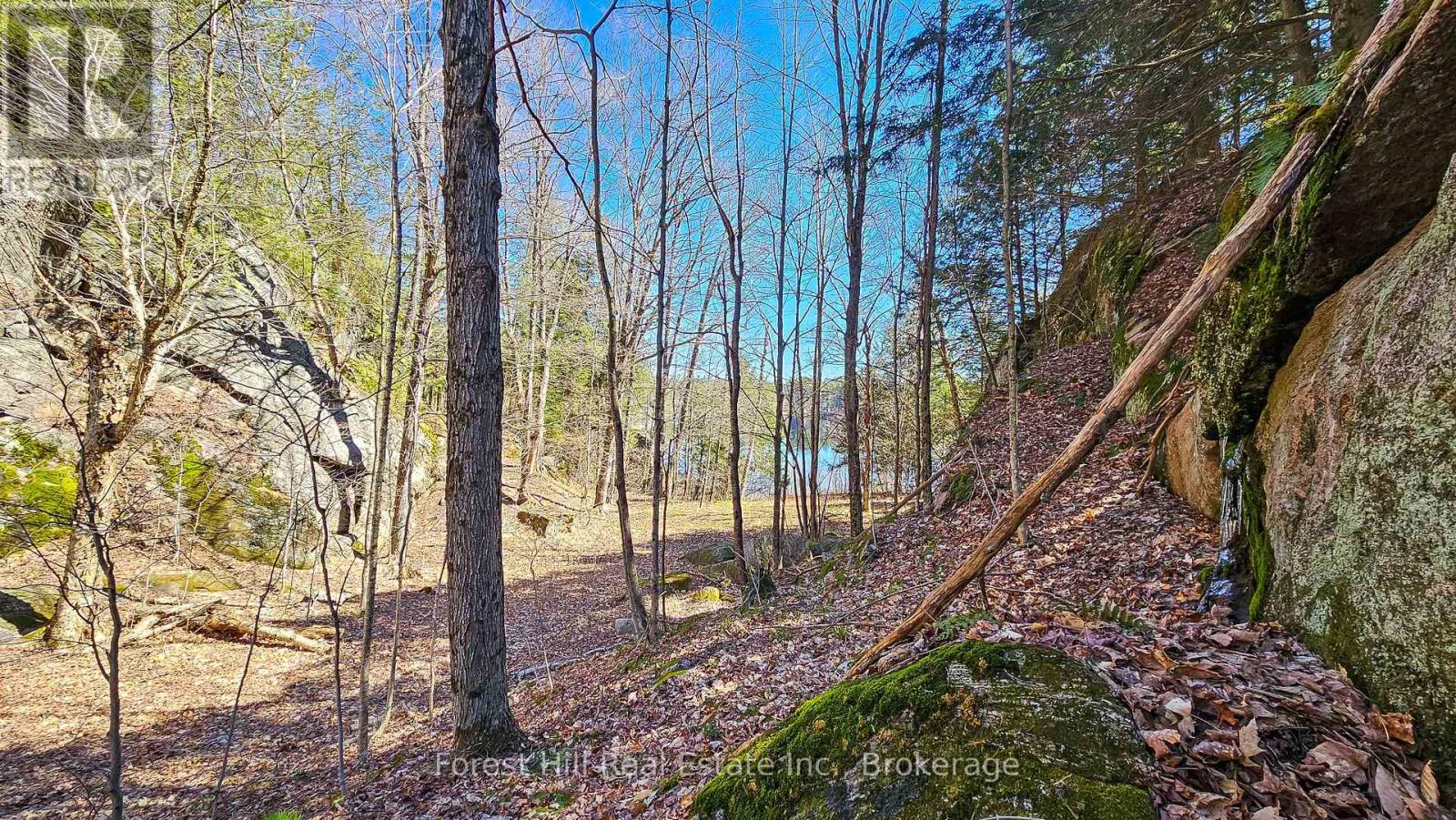 115 Longs Lake Road Property Photo 9