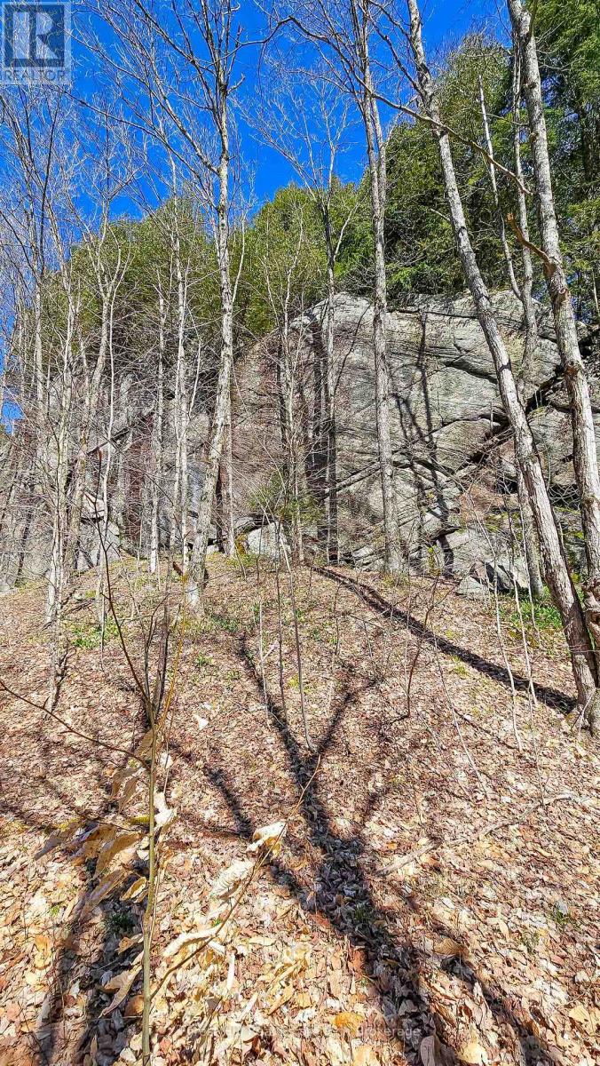 115 Longs Lake Road Property Photo 10
