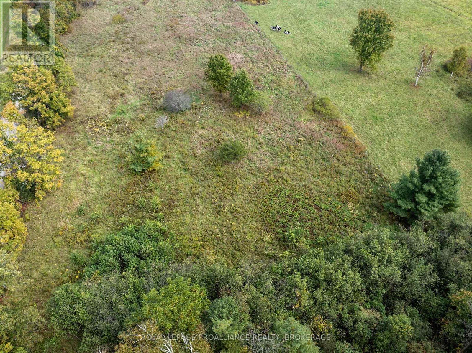 Pt 5 Mcandrews Road Property Photo 13
