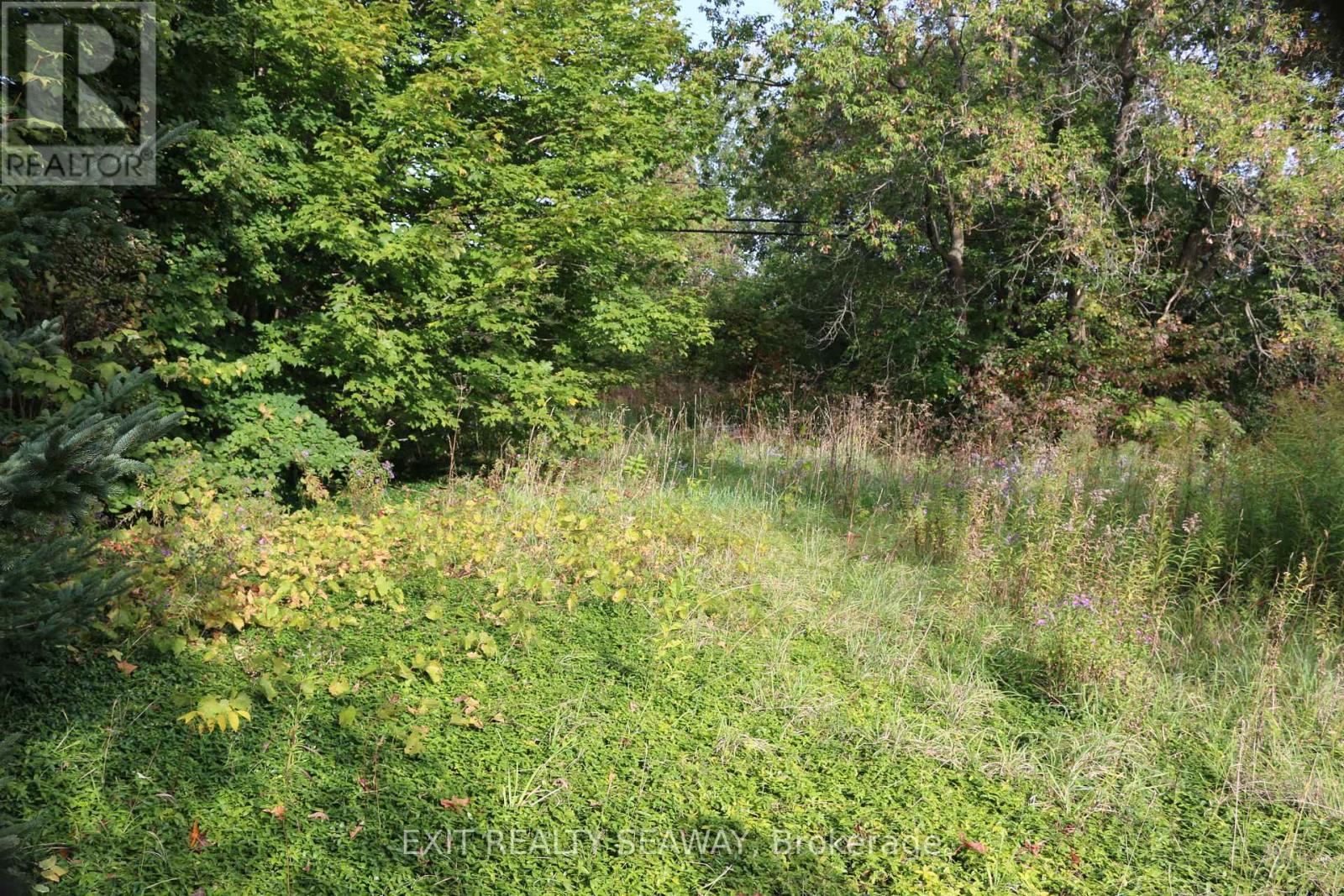 0 Dalkeith Road Property Photo 5