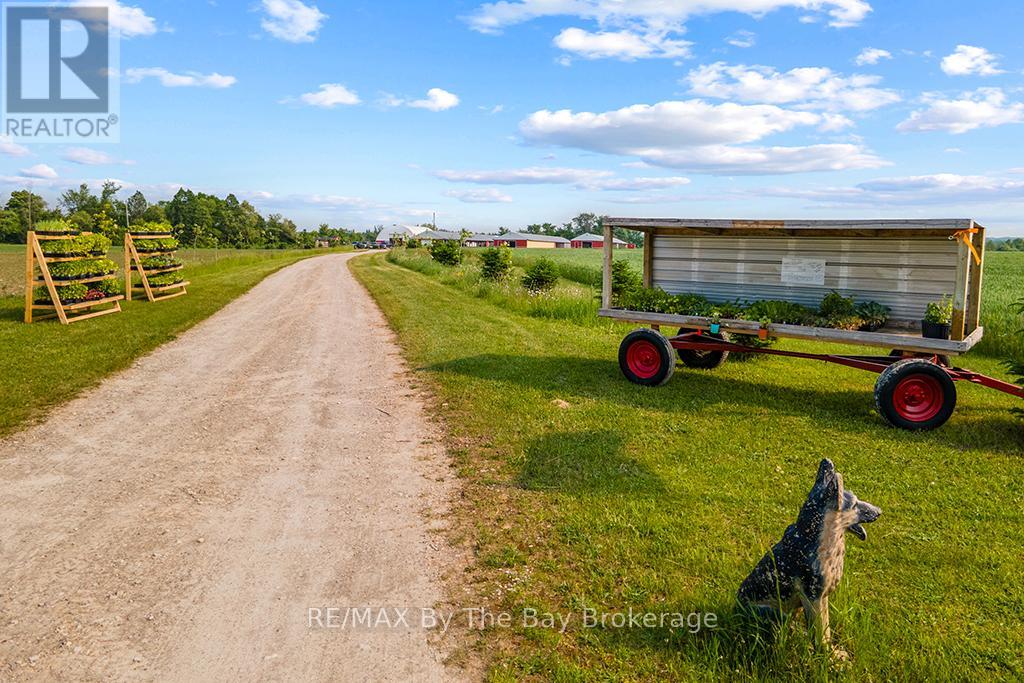 828482 Mulmur Nottawasaga Townline Property Photo 6