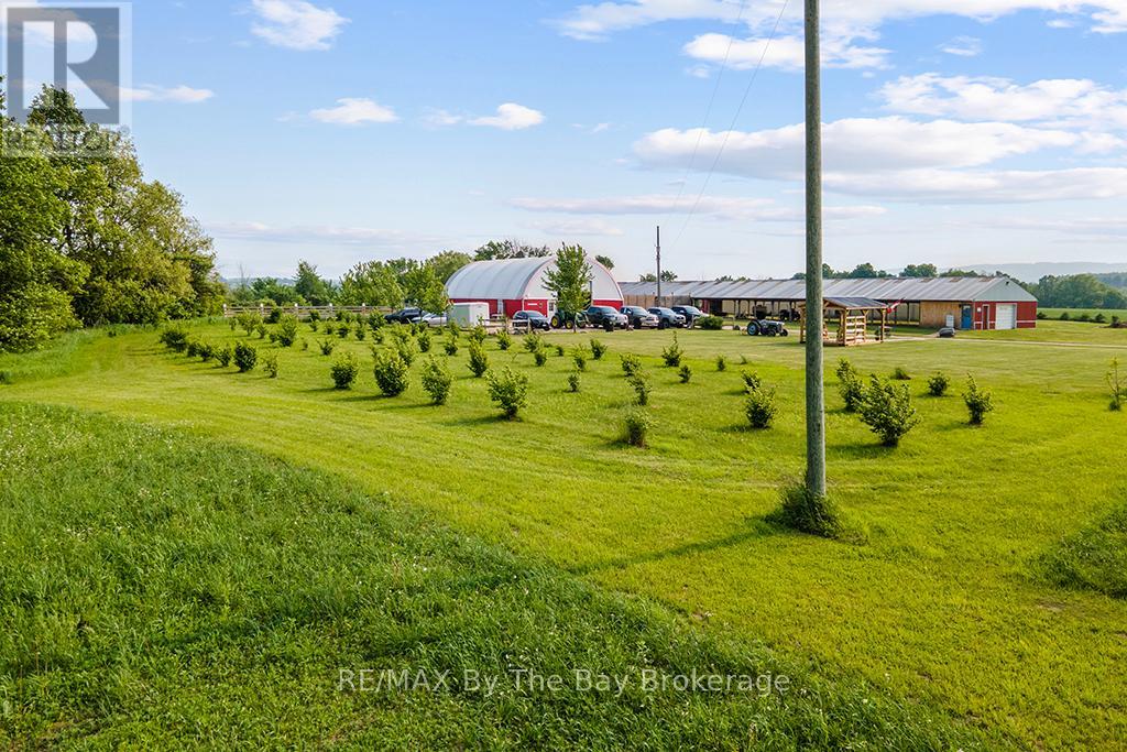 828482 Mulmur Nottawasaga Townline Property Photo 9