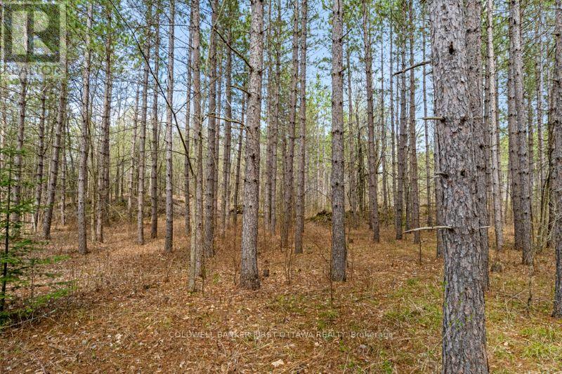 470 11th Line South Sherbrooke Road Property Photo 5