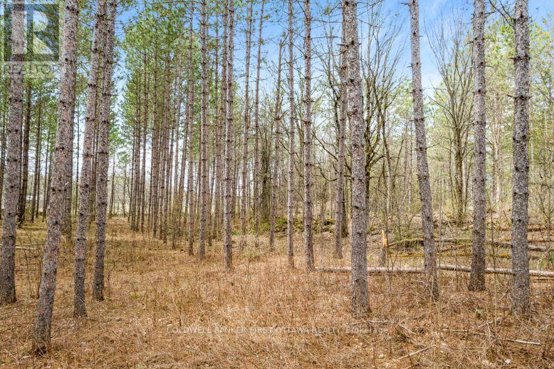 470 11th Line South Sherbrooke Road Property Photo 6