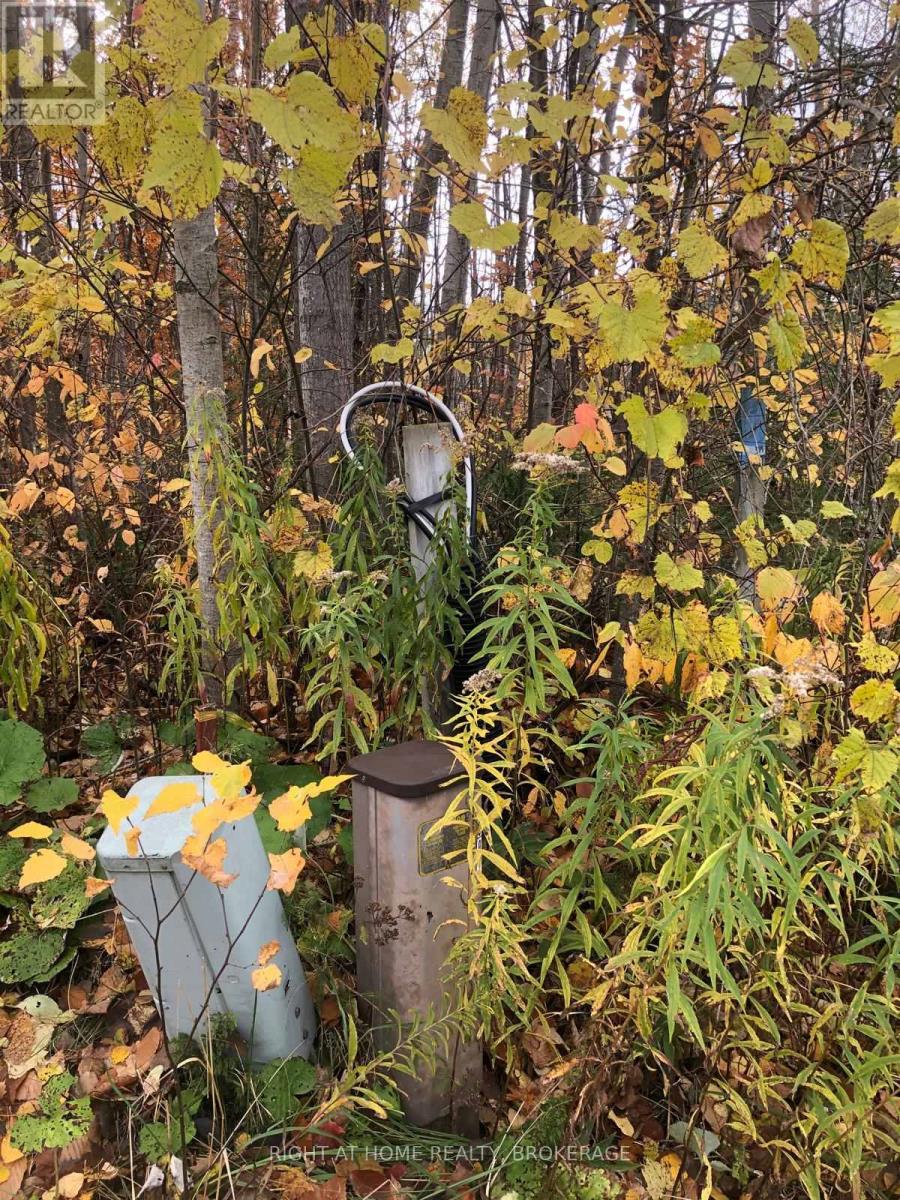 9 Frederick Street Property Photo 3