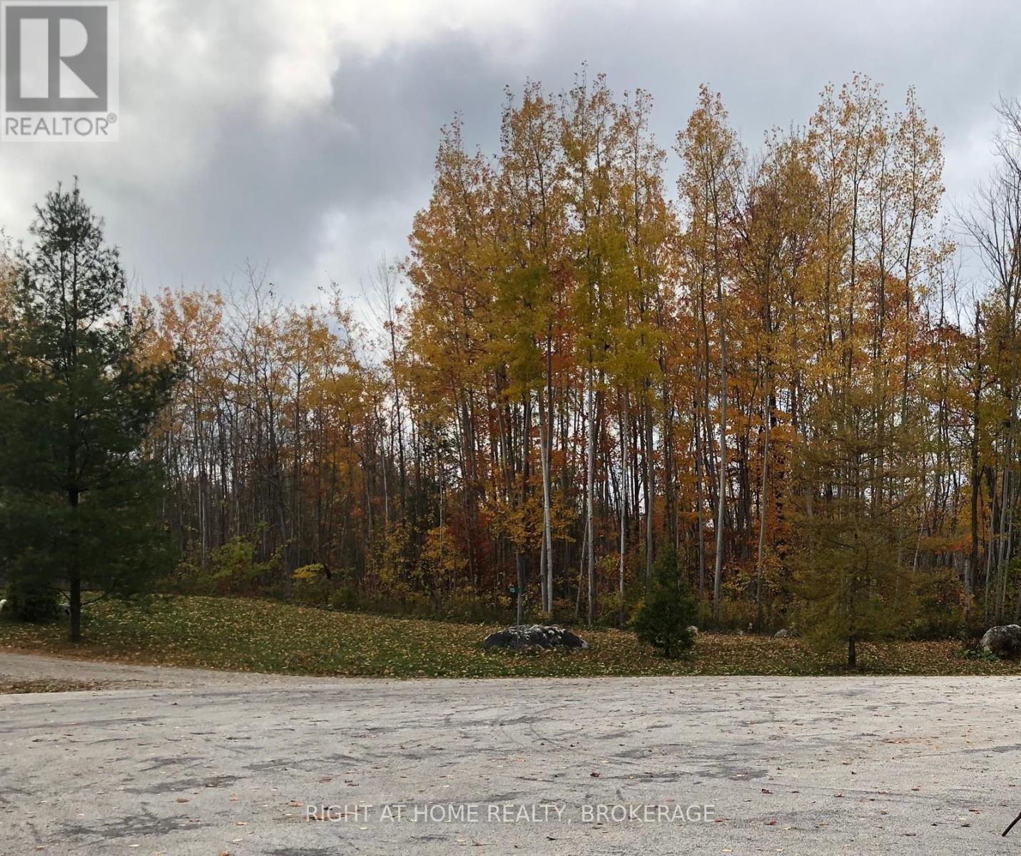 9 Frederick Street Property Photo 4