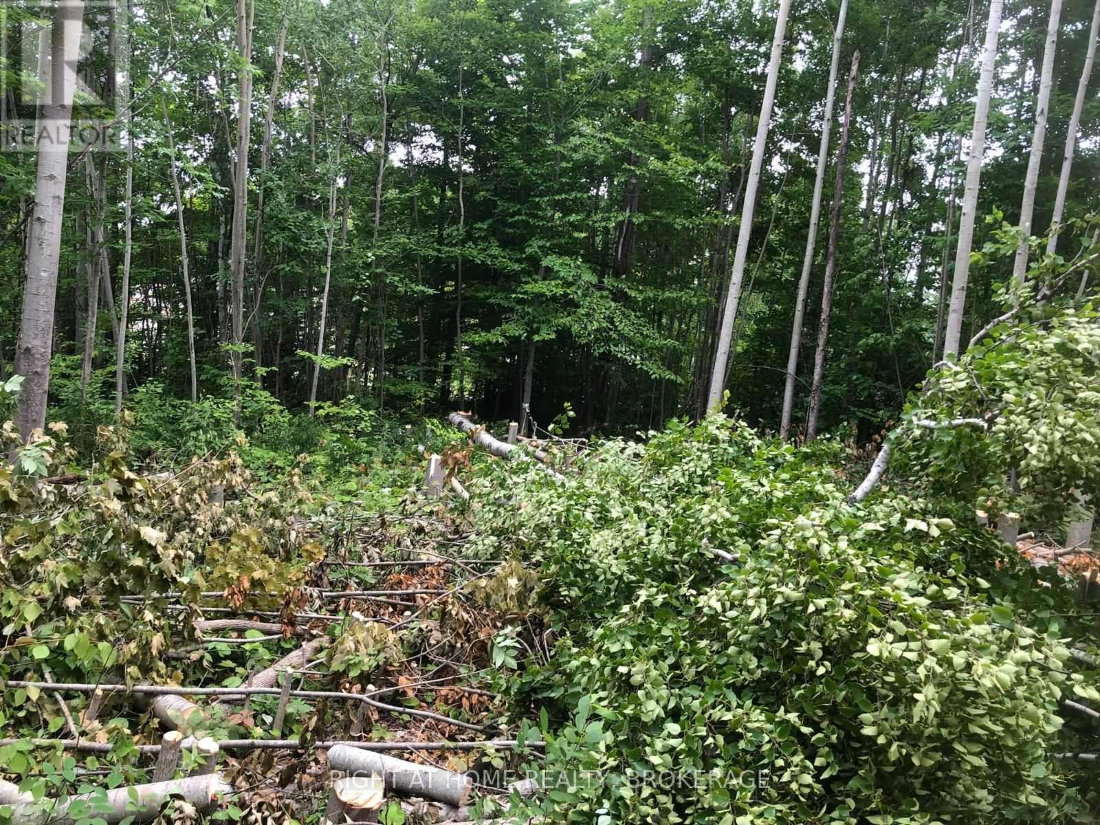 9 Frederick Street Property Photo 6