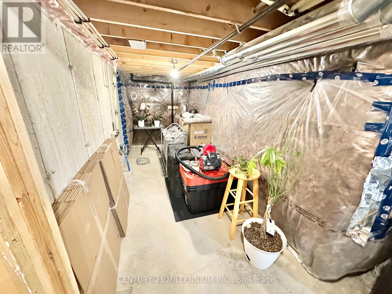 25 Harwood Street Property Photo 34