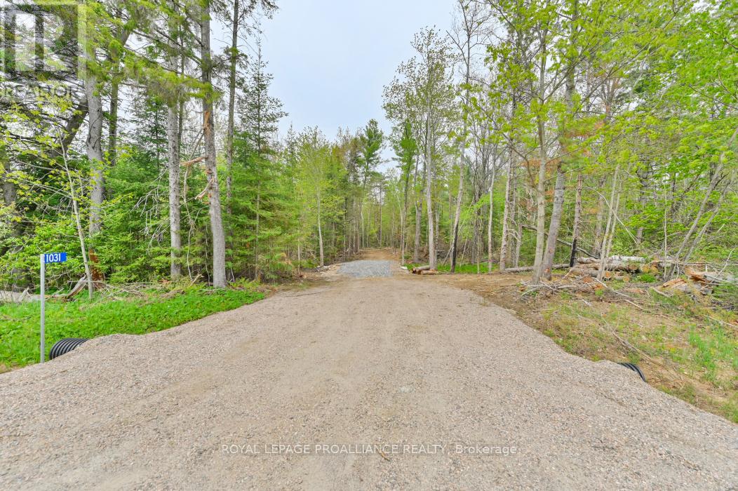 Cloyne Real Estate Listings Main Image
