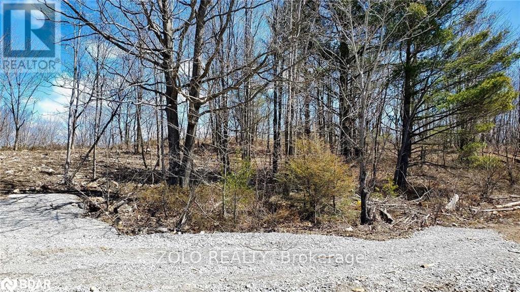 18 Hawkins Point Road Property Photo 5